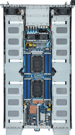 G293-S41-AAP1