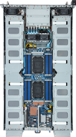 G293-S42-AAP1