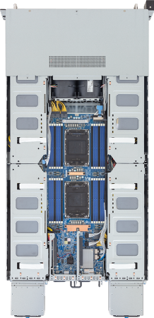 G294-S41-AAP2