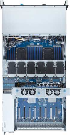 G494-SB1-AAP2