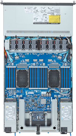 R183-S91-AAV2