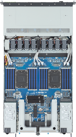 R184-S91-AAV1