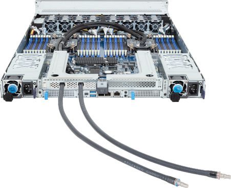 R184-S92-LAV1